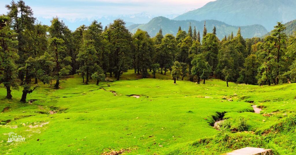 chopta tour package