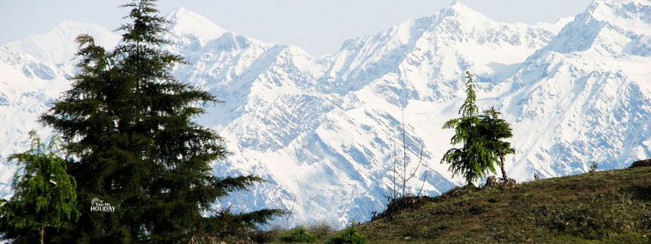 chopta tour package